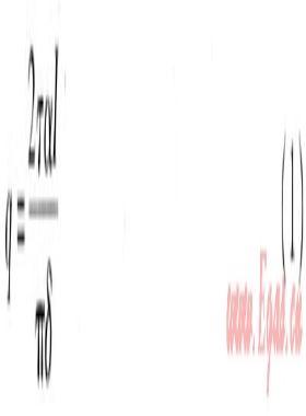 真空管太陽能集熱系統(tǒng)溫度場、速度場模擬