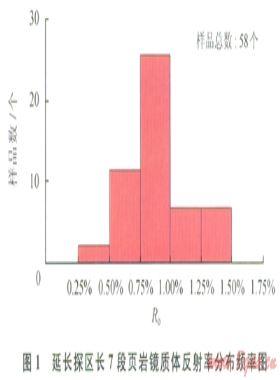 陸相頁(yè)巖氣的地質(zhì)研究進(jìn)展及亟待解決的問(wèn)題