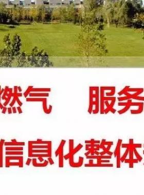 智慧燃?xì)?燃?xì)庑袠I(yè)信息化整體規(guī)劃方案PPT