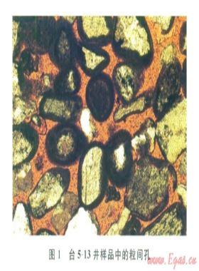 柴達(dá)木盆地臺(tái)南氣田低阻氣藏成因機(jī)理及測(cè)井評(píng)價(jià)