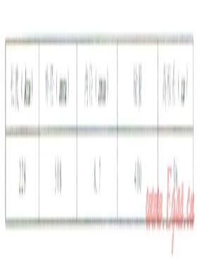 混油界面對(duì)管道壓力的影響