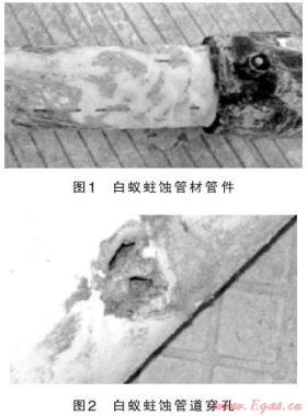 關(guān)于佛山市南海區(qū)燃氣管道安全問題的探討